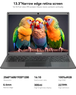 Adreamer LeoBook13 Laptop 8GB RAM 1TB SSD Notebook 13.3-inch 2560X1600 Resolution Computer Intel Celeron N4020 Ship From US